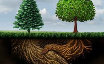 Plant Communication Systems: Hidden Language of Nature – Chemical Signals, Defense Networks & Forest Intelligence
