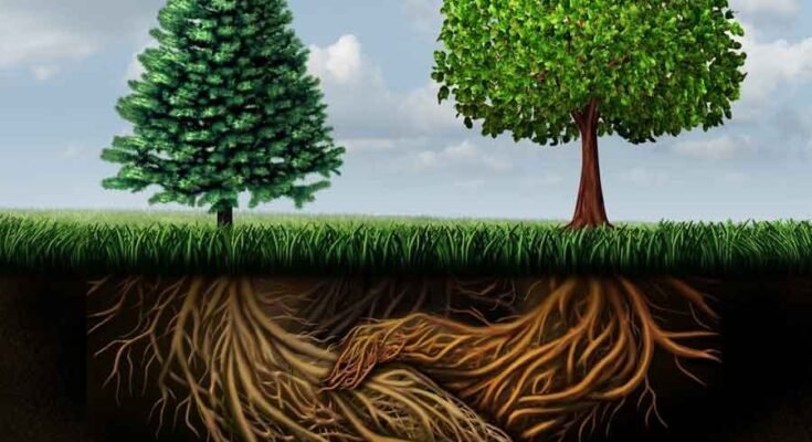 Plant Communication Systems: Hidden Language of Nature – Chemical Signals, Defense Networks & Forest Intelligence